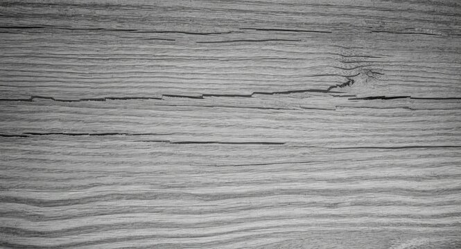 Natural wood texture in grayscale featuring detailed grain patterns for versatile creative backgrounds and copy space