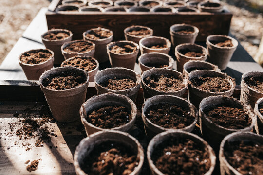 Starting a vegetable garden with seeds in pots for a spring garden. 