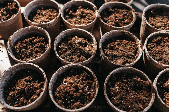 Starting a vegetable garden with seeds in pots for a spring garden. 