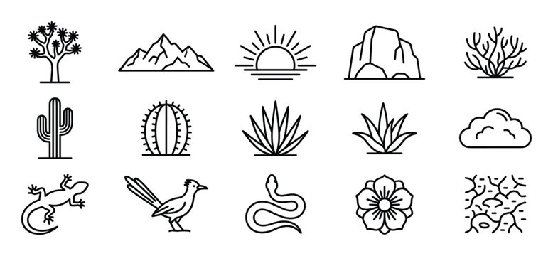 Collection of desert-themed line art icons featuring various plants, animals, and natural elements in a minimalist style