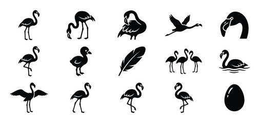 Fototapeta premium Collection of black flamingo silhouettes in various poses, including standing, flying, swimming, and a chick, presented as graphic icons