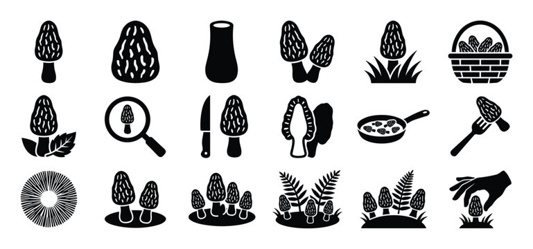 Collection of black silhouette morel mushroom icons depicting various stages of foraging, cooking, and preparation