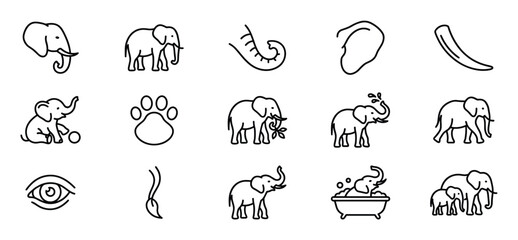 Obraz premium Collection of fifteen black outline elephant icons and related elements, featuring various poses and actions