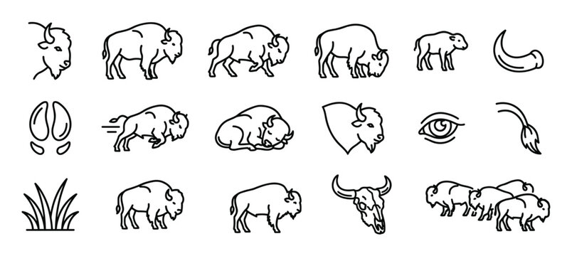 Collection of various American bison outline icons depicting different poses, body parts, and related elements in a simple, clean style