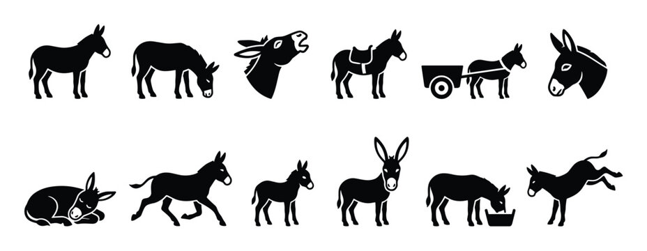 Collection of black silhouette donkey icons in various poses and actions, including standing, braying, pulling a cart, and sleeping