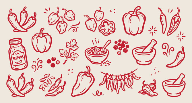 Red chili pepper, spicy food pattern, kitchen spices background, vegetable line art, cooking ingredients vector, red garden pepper, hand drawn spicy doodle
