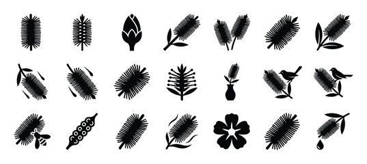 Obraz premium Various black silhouette illustrations of bottlebrush flowers, leaves, buds, and seed pods, some with birds, a bee, or a vase, presented in a clean, graphic style