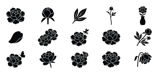 Fototapeta premium Collection of black silhouette peony flowers, buds, leaves, and insects in various arrangements, presented as vector icons