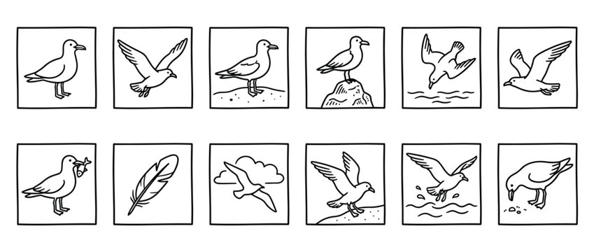 Collection of twelve simple black and white line art illustrations depicting various seagulls in different poses and activities