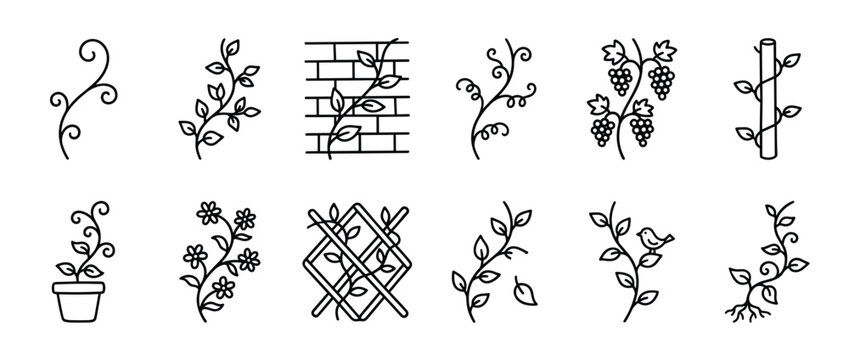 Collection of twelve black outline vector icons depicting various plants, vines, and floral elements