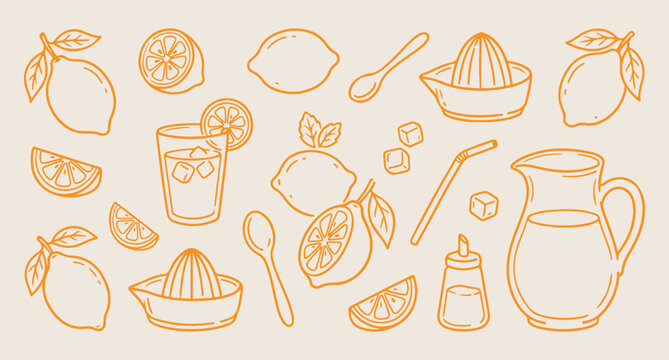 Citrus fruit slices, lemon and orange juice, fresh fruit line art, manual juicer vector, vitamin c background, healthy drink pattern, summer fruit illust