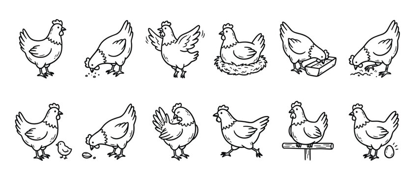 Collection of hand-drawn chickens in various poses, including standing, pecking, flapping, and sitting on a nest, depicted in a charming cartoon style