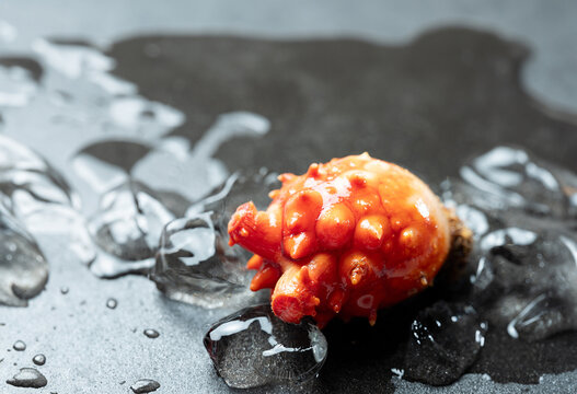 sea squirt ,seafood on a plate