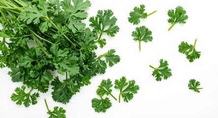 Naklejka premium Top down perspective of green parsley leaves isolated on white surface