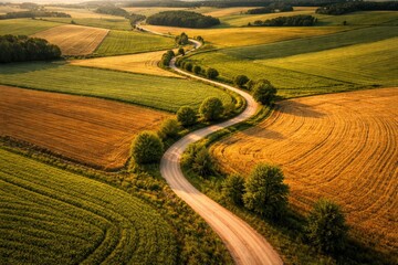 Obraz premium aerial view of a winding dirt road crossing rural farmland