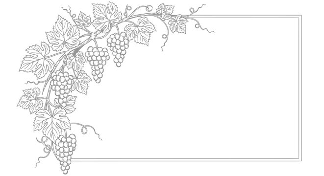 Decorative frame featuring grape vines and bunches of grapes in black and white