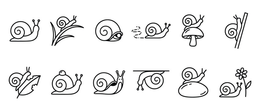 Collection of simple black outline snail icons in various poses and interactions, presented in a clean, graphic style