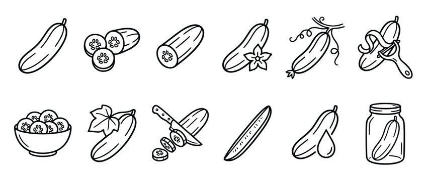 Various black outline cucumber illustrations show whole, sliced, peeled, and pickled forms in a clean, graphic style