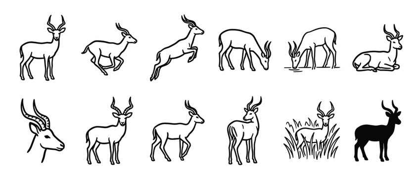 Collection of black outline impala illustrations depicting various poses and activities on a clean white surface