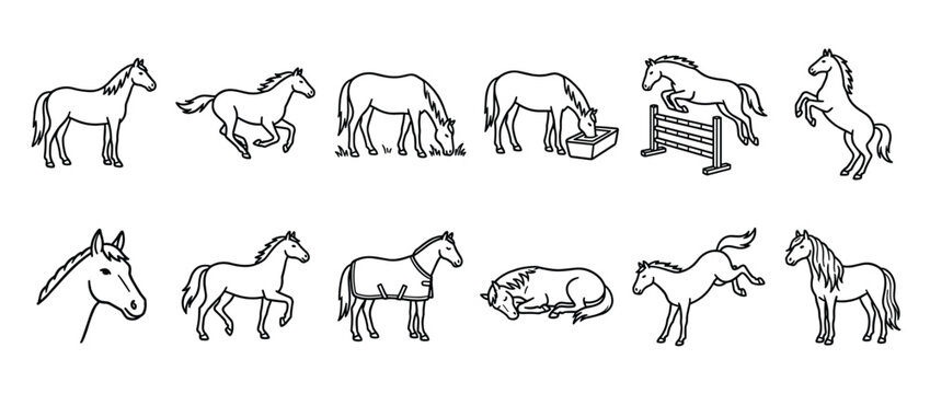Collection of various outline horse illustrations depicting different actions and poses in a clean, graphic style
