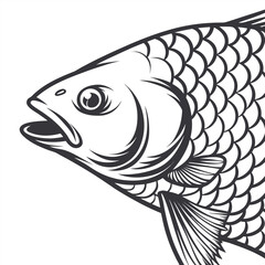 Black and white illustration of a fish with open mouth and scales © srazimarts