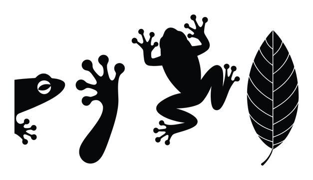 Black silhouette frogs and leaf on white background