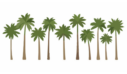 Palm trees clipart set with tall trunks and lush green fronds in flat vector style isolated on white background © MstLaily