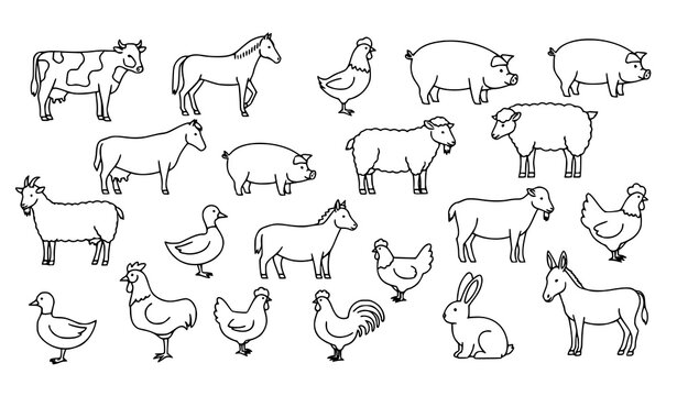 Farm animals line art bundle in creative scattered layout for agriculture and livestock illustration concepts