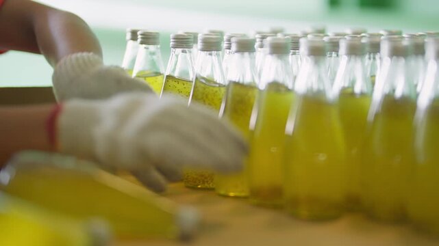 Bottling Process in Action: In an industrial setting, gloved hands meticulously arrange rows of glass bottles filled with a vibrant, golden liquid.