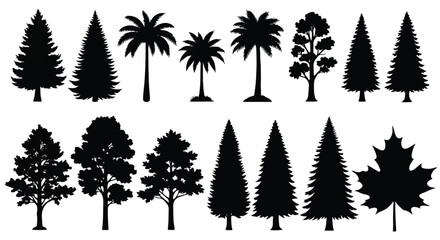 Fototapeta premium Diverse collection of tree silhouettes showcasing various species and shapes.