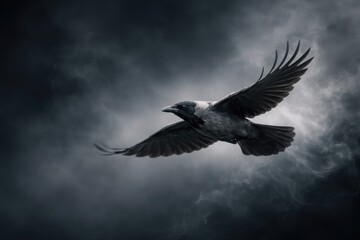 Fototapeta premium Solitary grey crow flying through smoky copy space background