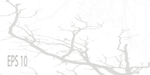 Obraz premium Transparent natural tree branches shadow. Light effect overlay. Mesh grid. Presentation your design card, poster, vector illustration