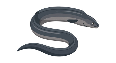 Obraz premium Eel Cartoon Illustration Curved Marine Ocean Fish Animal Design