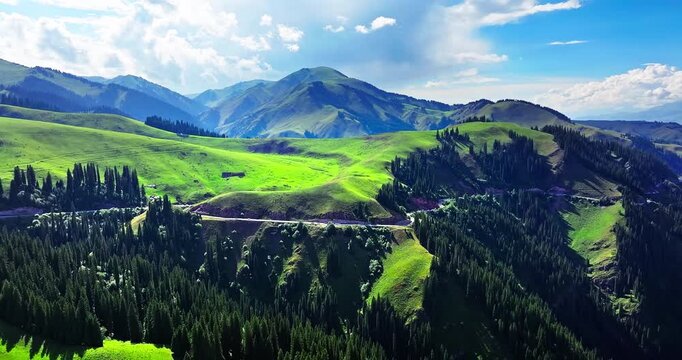 Aerial view of a winding asphalt road through lush green forests and scenic alpine hills in Xinjiang, China.
