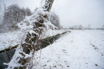 wiejski zimowy krajobraz © Michal