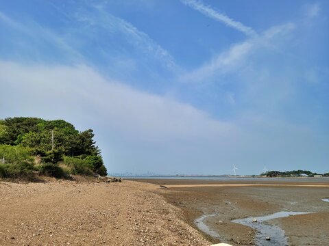 Mudflats and beach in Daebudo