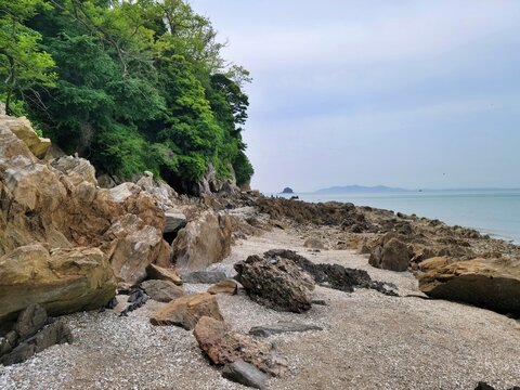 Rocky coastal path at low tide
