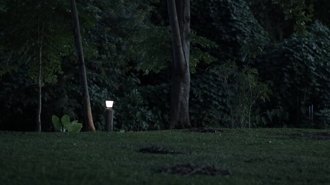 Cozy nighttime camping scene in Kanchanaburi, Thailand, with warm lights creating a magical and relaxing atmosphere amidst the dark forest.