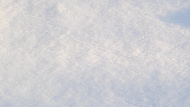 Detailed close up of pristine sparkling white winter snow texture covering dormant plant life on ground