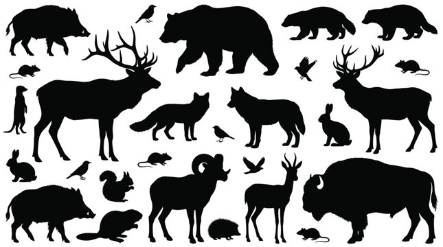 forest_animal_silhouettes