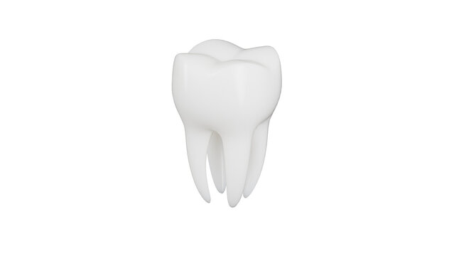 Detailed 3D molar tooth with multiple roots, showcasing dental anatomy structure.