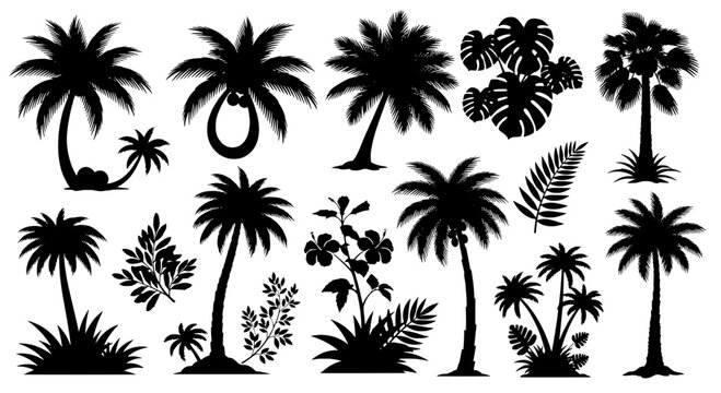 Palm trees and tropical plants silhouette collection with various styles and foliage detail, perfect for graphic design elements.