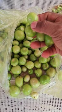 Fresh Green Husk Tomatoes in a Plastic Bag
