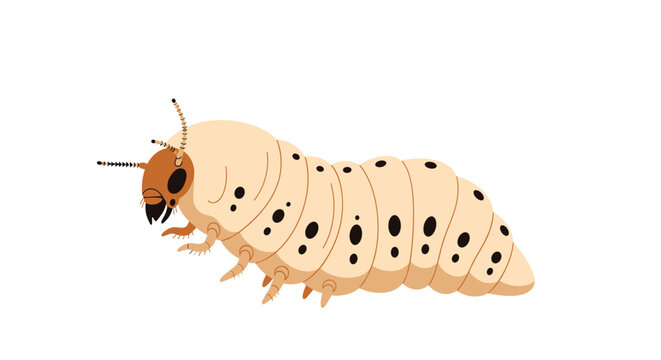 Detailed illustration of a large beetle larva or grub with a cream body and dark spots shown from a side perspective.