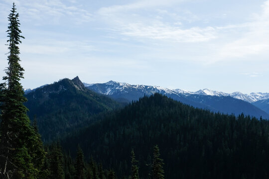 Scenic Alpine vista of Olympic mountains from Hurricane Ridge