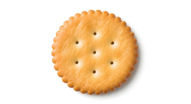 A delicious round cracker on a plain white background