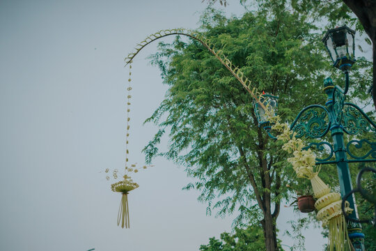 Janur kuning is a young leaf from a palm tree (especially coconut, sugar palm, or rumbia) which is yellowish white, flexible, and is often used in Indonesian traditional traditions as a symbol of hope