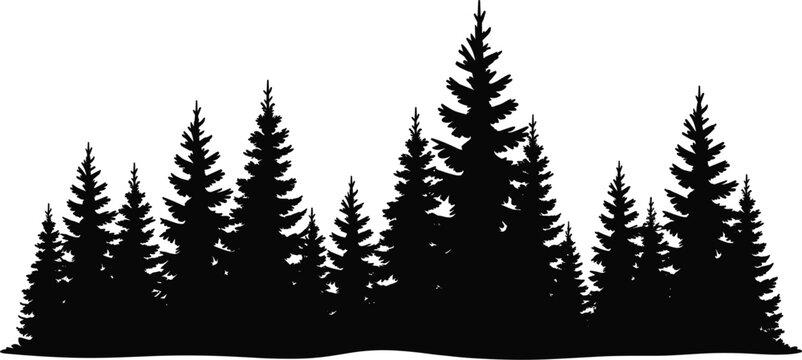 Pine forest silhouette landscape, evergreen trees border vector illustration isolated black nature scene design element