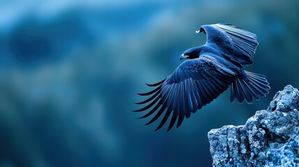 Naklejka premium Black eagle with wings fully spread, preparing to land on a rugged cliffside.