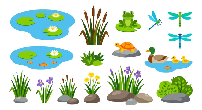 Colorful pond life illustration featuring frogs turtles and various plants